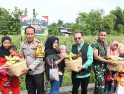 Polres Madiun Kota Panen Raya Jagung Untuk Dukung Ketahanan Pangan Nasional