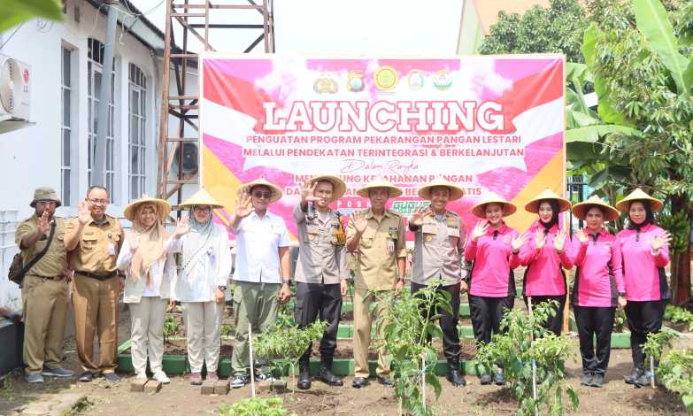 Img 20250224 Wa0074 Copy 3132x1879