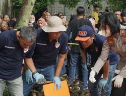 Polres Jember Berhasil Amankan Terduga Pembuang Bayi Dua Jam Setelah Ditemukan Jasad Terkubur di Pekarangan
