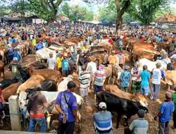 Pemkab Tuban Buka Kembali Pasar Hewan, Waspada Pmk Tetap Diutamakan