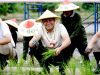 Tanam Padi Bersama : Pemkab Sidoarjo Siap Dukung Program Contract Farming DKI Jakarta Dengan Jatim