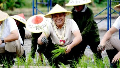 Tanam Padi Bersama : Pemkab Sidoarjo Siap Dukung Program Contract Farming DKI Jakarta Dengan Jatim