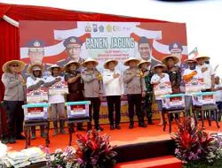 Panen Raya Jagung Hibrida di Sidoarjo: Wujud Dukungan Program Ketahanan Pangan Nasional