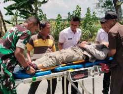 Kecelakaan Tunggal di Jalan Widang-Rengel, Pengendara Yamaha Vixion Dilarikan ke Rumah Sakit