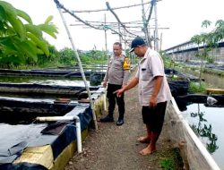Kapolsek Wonoayu Dukung Swasembada Pangan dengan Budidaya Ikan