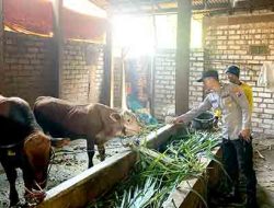 Polsek Laren Berikan Himbauan Penyakit Mulut dan Kaki Kepada Pemilik Ternak