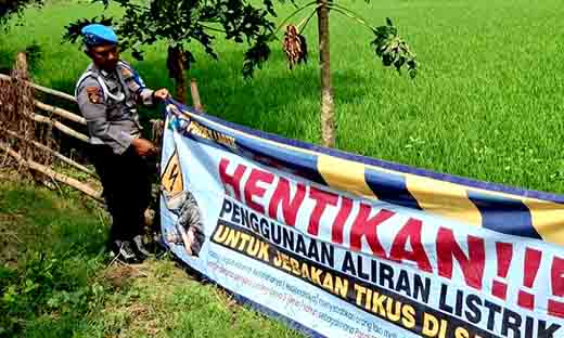 Polsek laren berikan himbauan petani tidak gunakan jebakan listrik