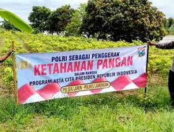 Sosialisasi Program Pekarangan Pangan Bergizi di Tiap–tiap Desa di Kecamatan Laren