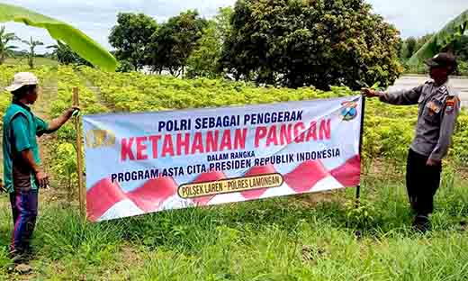 Sosialisasi program pekarangan pangan bergizi di tiap–tiap desa di kecamatan laren