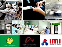 Terobosan Terapi Komplementer Teknologi Nano Kombinasi NO, Mg dan GNH