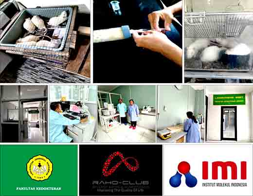 Terobosan terapi komplementer teknologi nano kombinasi no, mg dan gnh