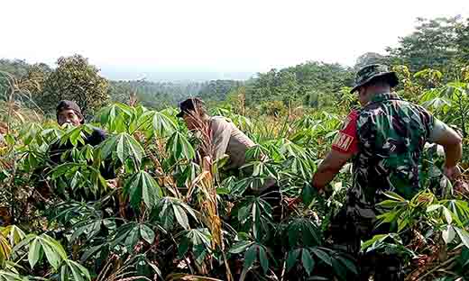 Bhabinkamtibmas polres pasuruan jadi motor penggerak ketahanan pangan