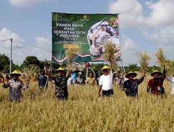 Dipimpin Presiden Prabowo, Wabup Dan Forkopimda Tuban Panen Raya Di Merakurak