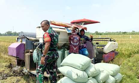 Img 20250409 wa0088 copy 925x554