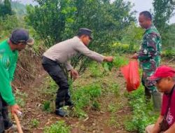 Polres Nganjuk Bersama Warga Tani Kembali Tanam Jagung Wujudkan Ketahanan Pangan Berkelanjutan