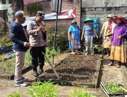 Polsek Plosoklaten Monitoring Pekarangan Pangan Bergizi