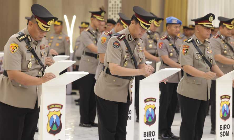 Img 20250414 wa0085 copy 3556x2134