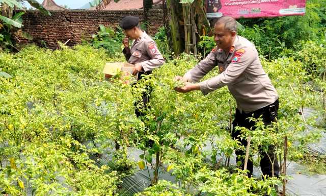 Img 20250414 wa0110 copy 1280x768