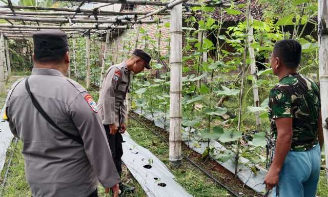 Img 20250417 wa0040 copy 1280x768