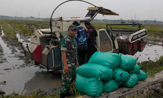 Img 20250418 wa0025 copy 1280x768