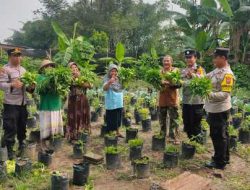 Panen Raya Pekarangan Lestari, Polsek Pagu dan Warga Wujudkan Ketahanan Pangan Mandiri