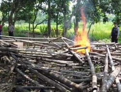 Patroli Drone, Polres Pasuruan Kota Berhasil Identifikasi dan Bongkar Lokasi Sabung Ayam