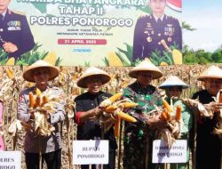 Polisi dan Warga Tani Panen Raya Jagung Hibrida Bhayangkara Tahap II di Ponorogo