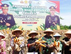 Petani di Ponorogo Puas dengan Jagung Hibrida Bhayangkara, Panen Melimpah dan Tahan Penyakit