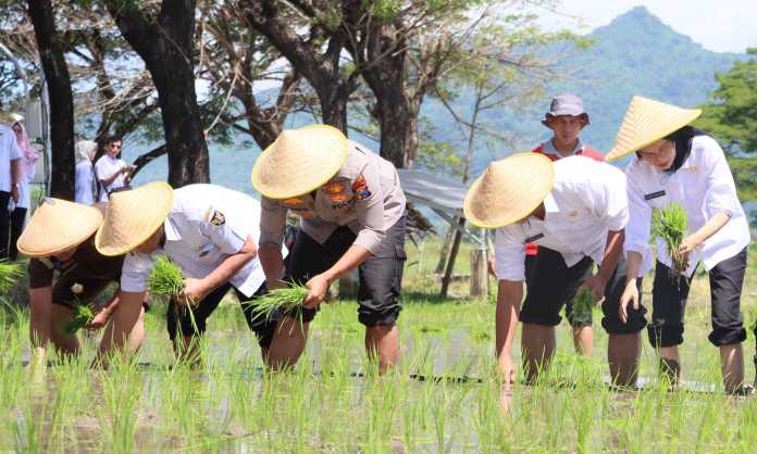 Img 20250425 wa0073 copy 2784x1670 1