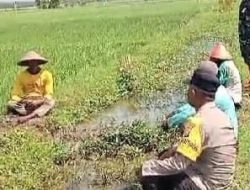 Babinsa Koramil Karangjati Bersama Bhabinkamtibmas Imbau Masyarakat Tidak Pasang Jebakan Tikus Dengan Aliran Listrik