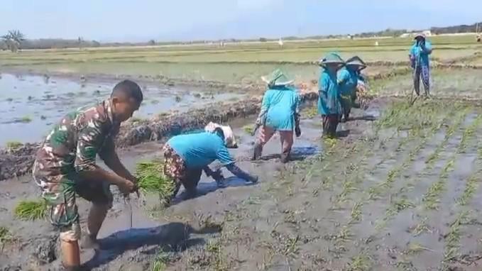 Img 20250427 wa0053 copy 679x382