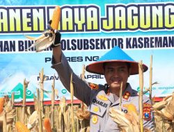 Dukung Program Ketahanan Pangan, Polres Ngawi Gelar Panen Raya Jagung
