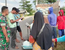 Pastikan Kestabilan Harga Gabah, Babinsa Paron dan PPL Kawal Serap Gabah Petani(Sergap) di Dusun Bandung, Ngawi
