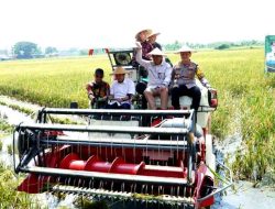 Bupati Lamongan Pastikan Stabilitas Harga Gabah dalam Panen Raya Serentak