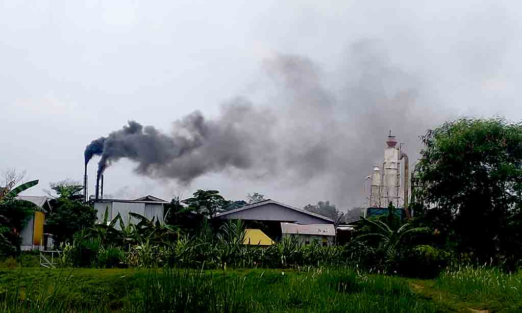 Tanpa kompensasi! pabrik kayu di lamongan dituding abaikan dampak lingkungan