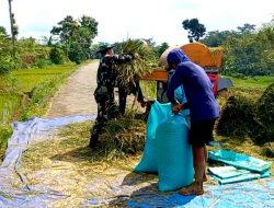 Babinsa Koramil Ngrambe Dampingi Sergap di Poktan Tani Makmur Desa Setono