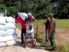 Babinsa Koramil Ngrambe dan PPL Kawal Langsung Program SERGAP, Penyerapan Gabah Petani ke Bulog Berjalan Lancar