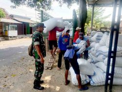 Babinsa Ngrambe Kawal Sergap 12,6 Ton Gabah Terserap ke Bulog