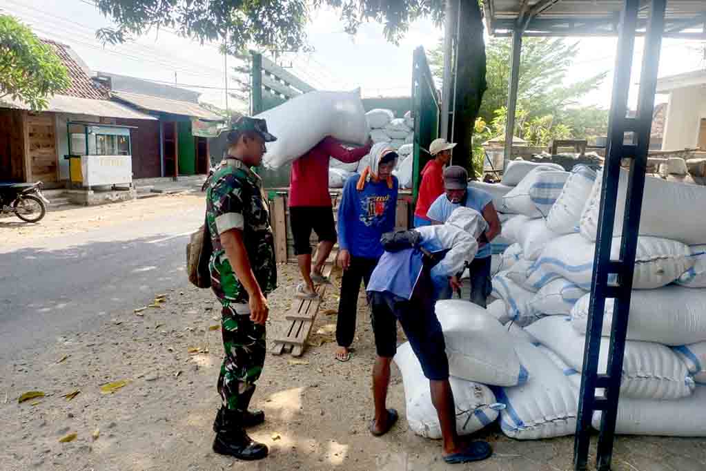 Babinsa ngrambe kawal sergap 12,6 ton gabah terserap ke bulog