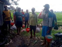 Gapoktan Kebaron Makmur Gelar Aksi Pengendalian Hama Tikus demi Produktivitas Padi