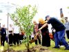 Gubernur Khofifah Tanam Pohon Maja di IKN, Simbol Kejayaan Nusantara