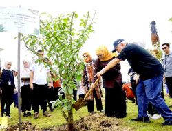 Gubernur Khofifah Tanam Pohon Maja di IKN, Simbol Kejayaan Nusantara