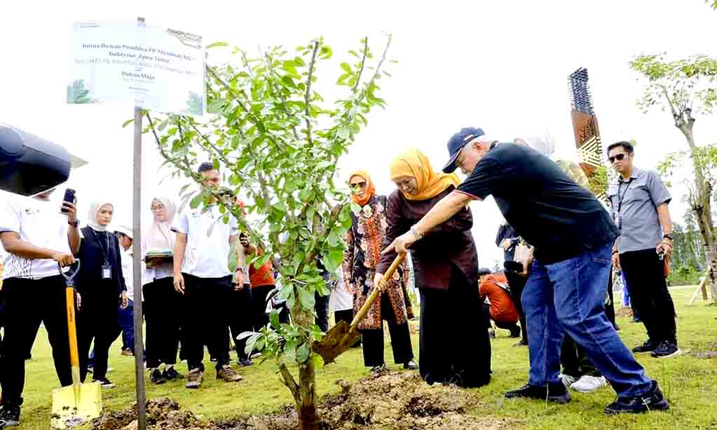 Gubernur khofifah tanam pohon maja di ikn, simbol menuju jatim gerbang baru nusantara