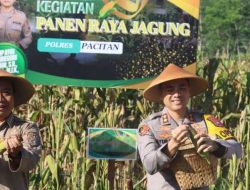 Polres Pacitan Bersama Warga Tani Panen Jagung Wujudkan Ketahanan Pangan Nasional