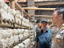 Wujudkan Ketahanan Pangan, Polsek Kepung Budidaya Jamur Tiram Bersama Warga