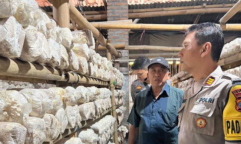 Img 20250508 wa0036 copy 3226x1935