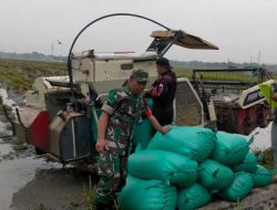 Serka Nursahid Laksanakan Sergap Untuk Dukung Penyerapan Gabah Petani Di Wilayahnya