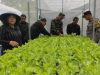 Polsek Pesantren Dukung Ketahanan Pangan di Kampung Tani Dengan Greehouse Tanaman Sayuran