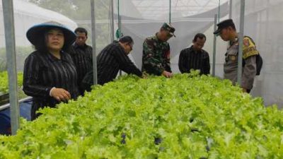 Polsek Pesantren Dukung Ketahanan Pangan di Kampung Tani Dengan Greehouse Tanaman Sayuran
