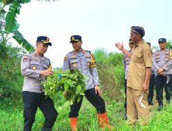Dukung Ketahanan Pangan, Kapolres Ngawi Tinjau Lahan Edamame di Ngrambe